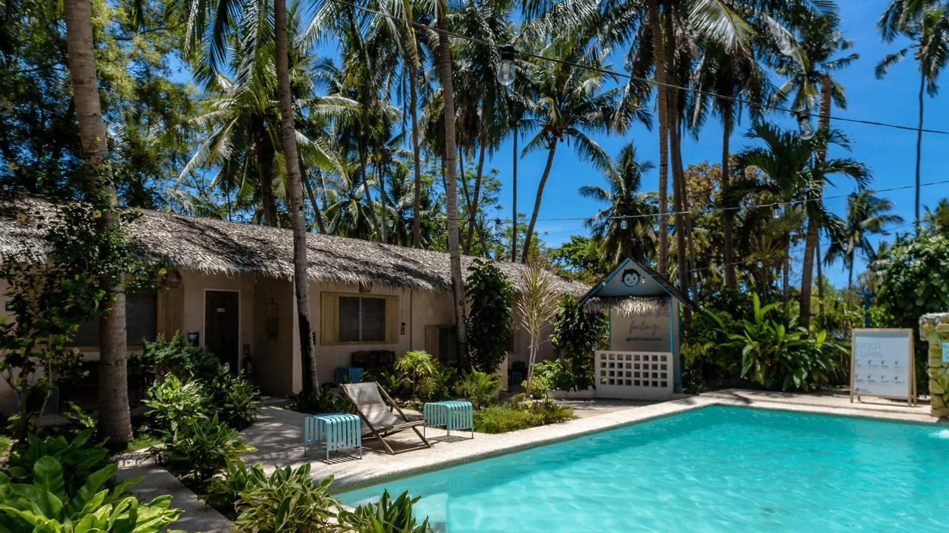 Auberge de jeunesse Mad Monkey Panglao 0*,